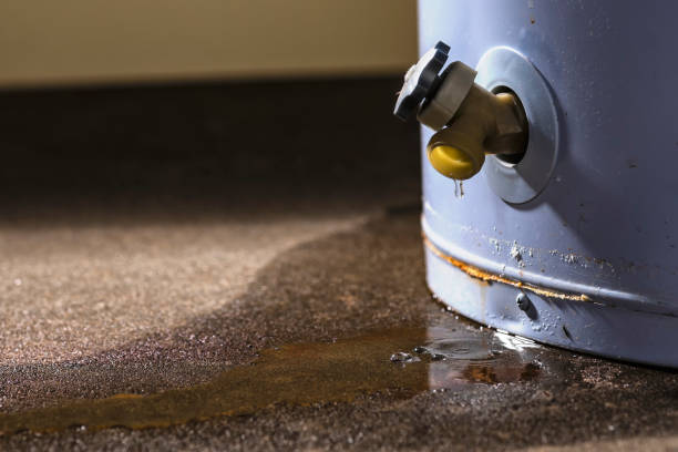 Best Flood restoration services  in Imperial, MO