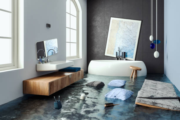 Best Carpet water damage restoration  in Imperial, MO