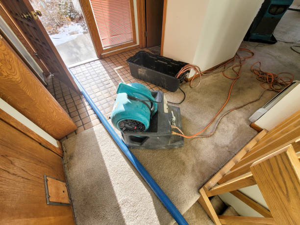 Best Water damage restoration near me  in Imperial, MO