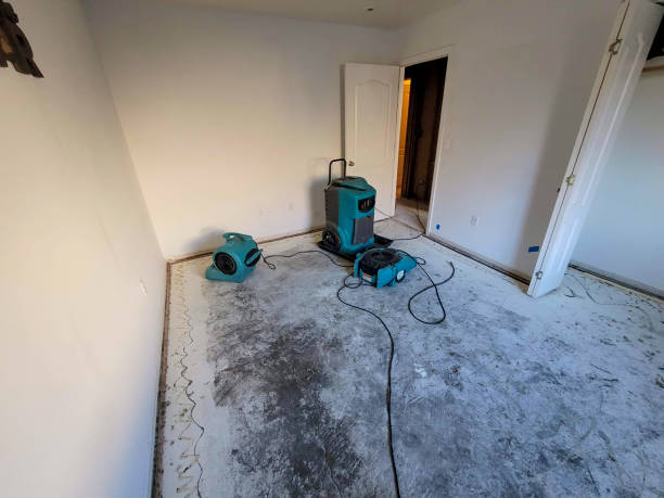 Best Sewage cleanup and water damage restoration  in Imperial, MO