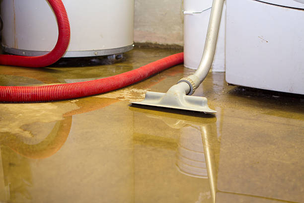 Best Professional water damage repair  in Imperial, MO