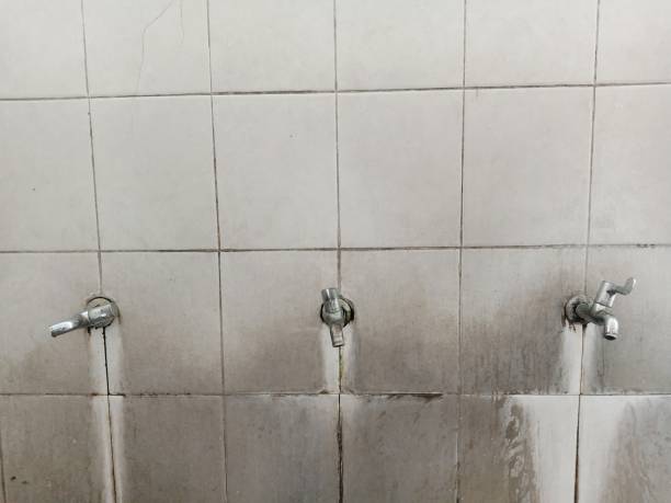 Best Mold removal after water damage  in Imperial, MO