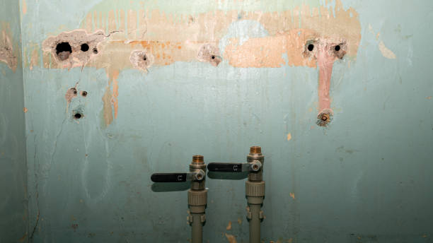 Best 24-hour water damage restoration  in Imperial, MO