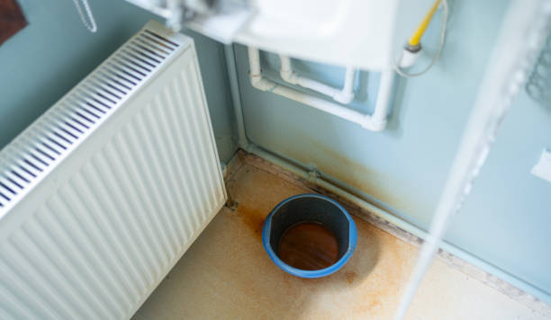 Best Flood damage cleanup  in Imperial, MO