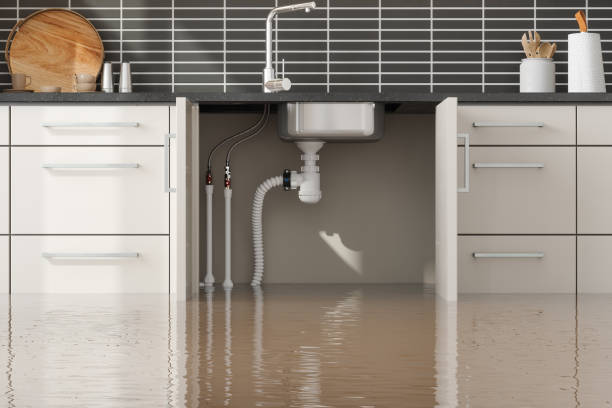 Best Water damage restoration services  in Imperial, MO