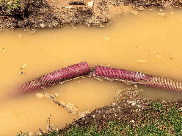 Local water damage restoration