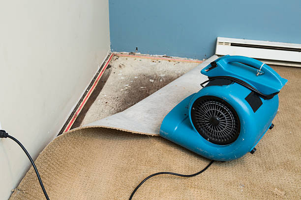 Carpet water damage restoration in Imperial, MO